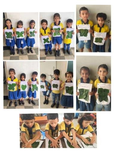 WhatsApp-Image-2025-09-01-at-11.55.32-AM-1